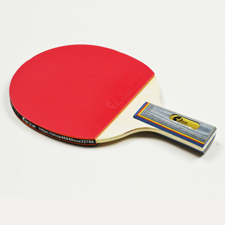 Factory price best premium ping pong paddle Gear 0626, Ping Pong Equipment, Table Tennis Set for Everyone