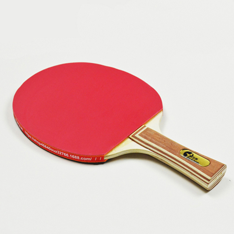 Supreme Performance-Level Pingpong paddle set factory