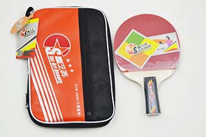 Premium pingpong bats 3806